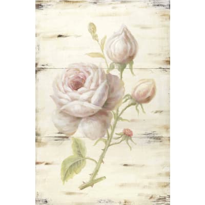 Cornici Quadri Leroy Merlin.Quadro Con Cornice Peonie 30x20 Cm Prezzo Online Leroy Merlin