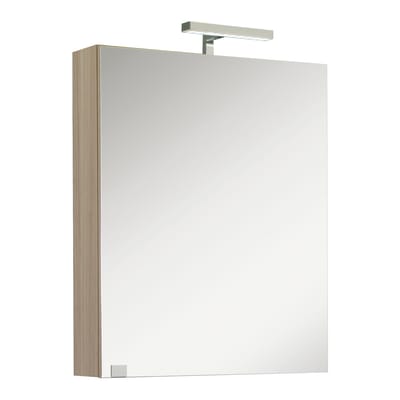 Specchiera Bagno Leroy Merlin.Specchio Contenitore Con Luce L 55 X P 15 X H 70 Cm Olmo Rousseau Prezzo Online Leroy Merlin