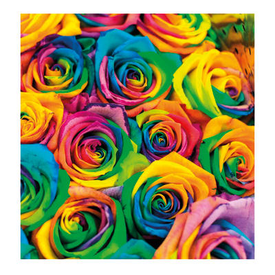 Quadro Su Tela Rose Colorate 60x60 Cm Prezzo Online Leroy Merlin
