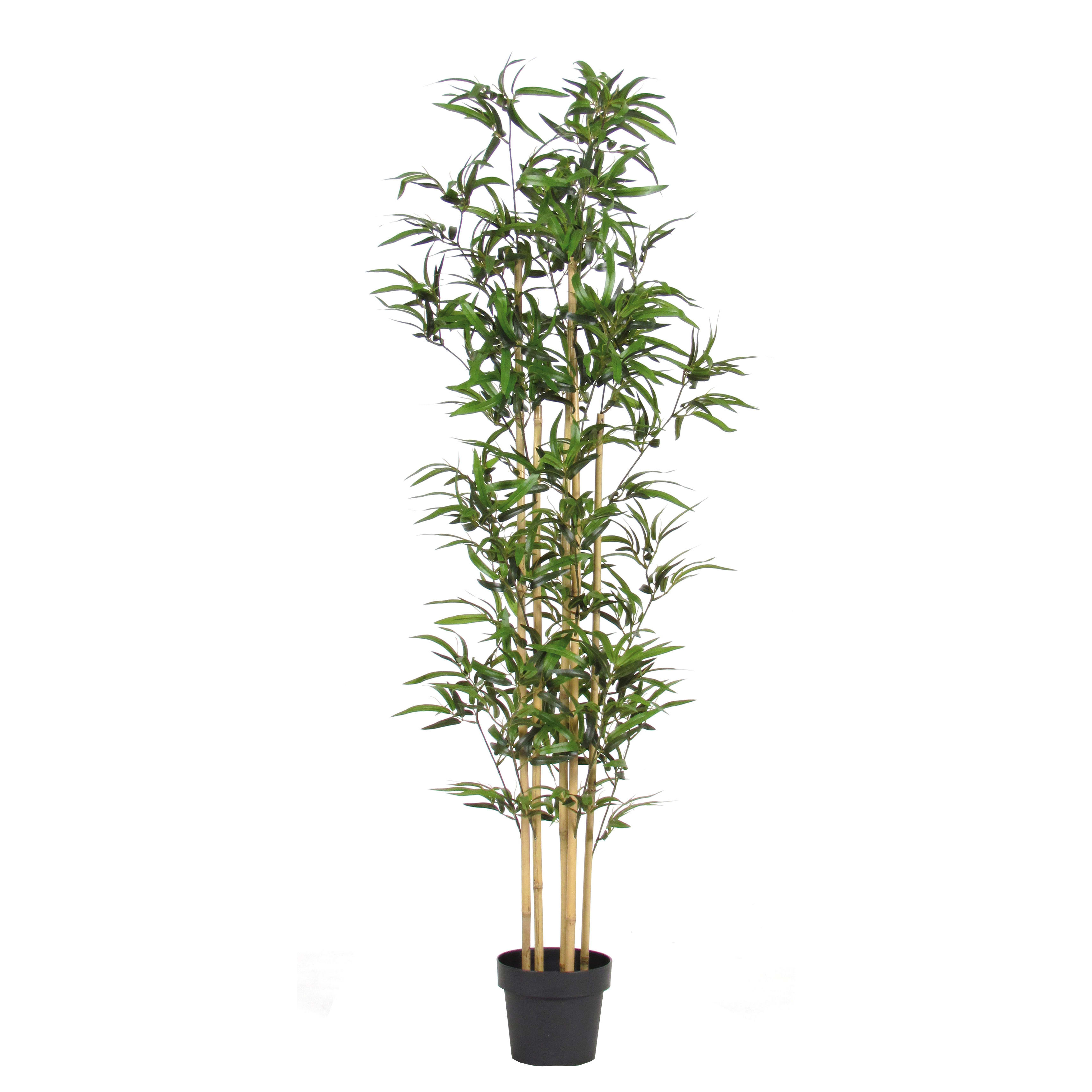 Vendita Piante Bambu Milano.Pianta Artificiale Bamboo In Vaso H 165 Cm Prezzo Online Leroy Merlin