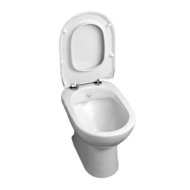 Accessori Bagno Per Disabili Leroy Merlin.Sanitari Bagno Per Disabili Vasi Wc E Bidet Per Disabili E Anziani