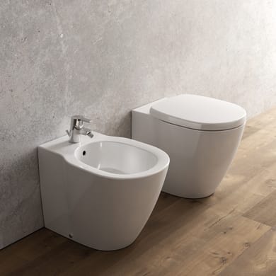 Accessori Bagno Per Disabili Leroy Merlin.Coppia Sanitari Bagno Sospesi E A Terra Leroy Merlin